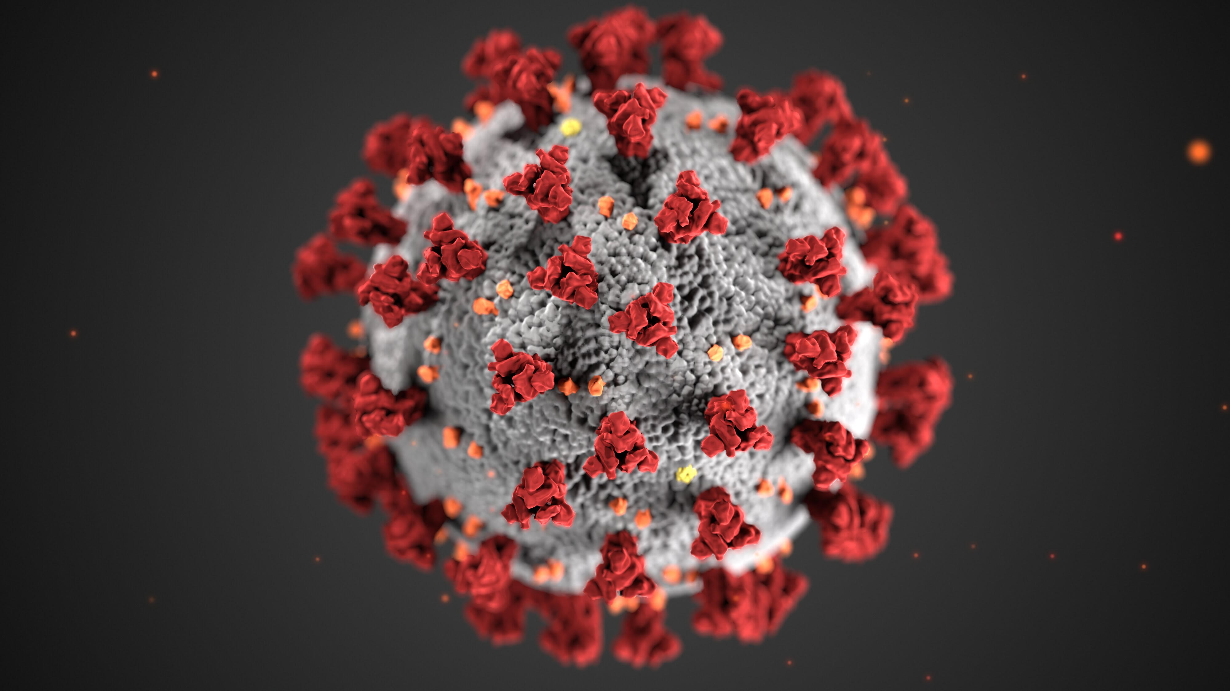Noticias de coronavirus en el Valle de Hudson: Miércoles, 18 de marzo